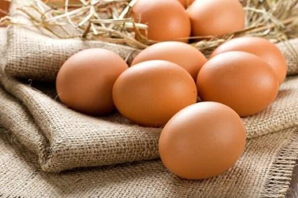 تصویر 3 از خرید تخم مرغ محلی + قیمت فروش استثنایی